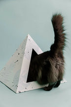 'Oasis' Cat Pyramid 5 - MiniPaw Luxe