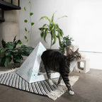 'Oasis' Cat Pyramid 7 - MiniPaw Luxe