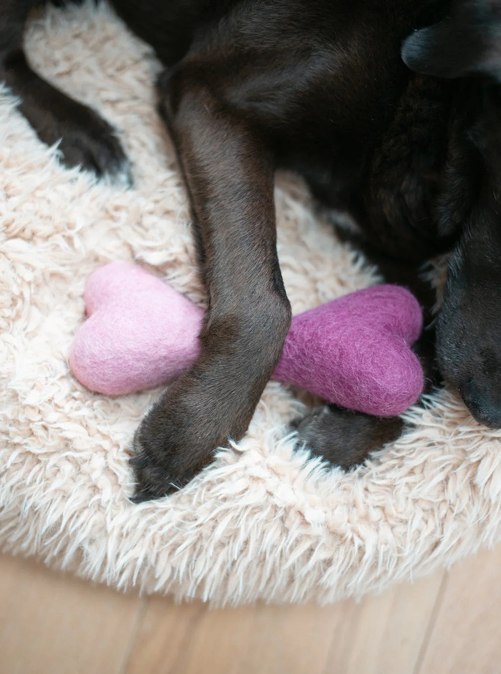 Ombre Woolbone 14 - MiniPaw Luxe