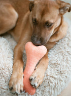 Ombre Woolbone 16 - MiniPaw Luxe