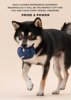 PARADISE PET TOY | Anemone 5 - MiniPaw Luxe