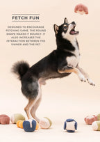 PARADISE PET TOY | Anemone 6 - MiniPaw Luxe