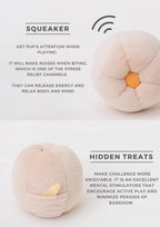 PARADISE PET TOY | Cucurbita 4 - MiniPaw Luxe