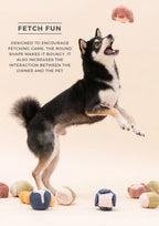 PARADISE PET TOY | Cucurbita 6 - MiniPaw Luxe