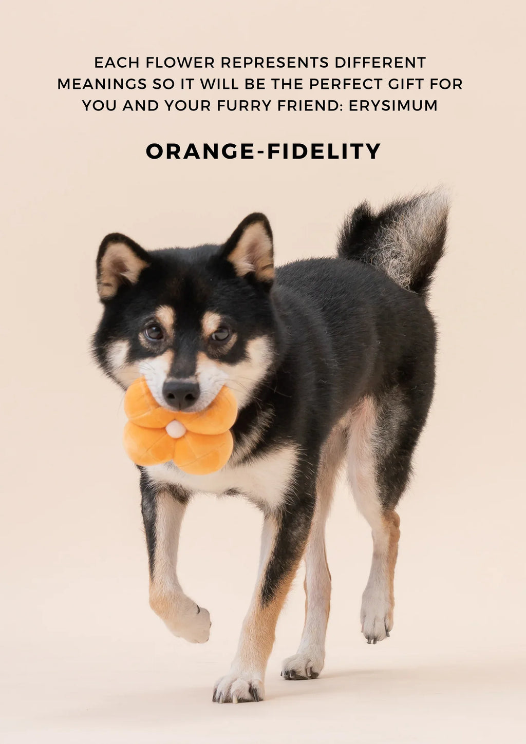 PARADISE PET TOY | Erysimum 7 - MiniPaw Luxe