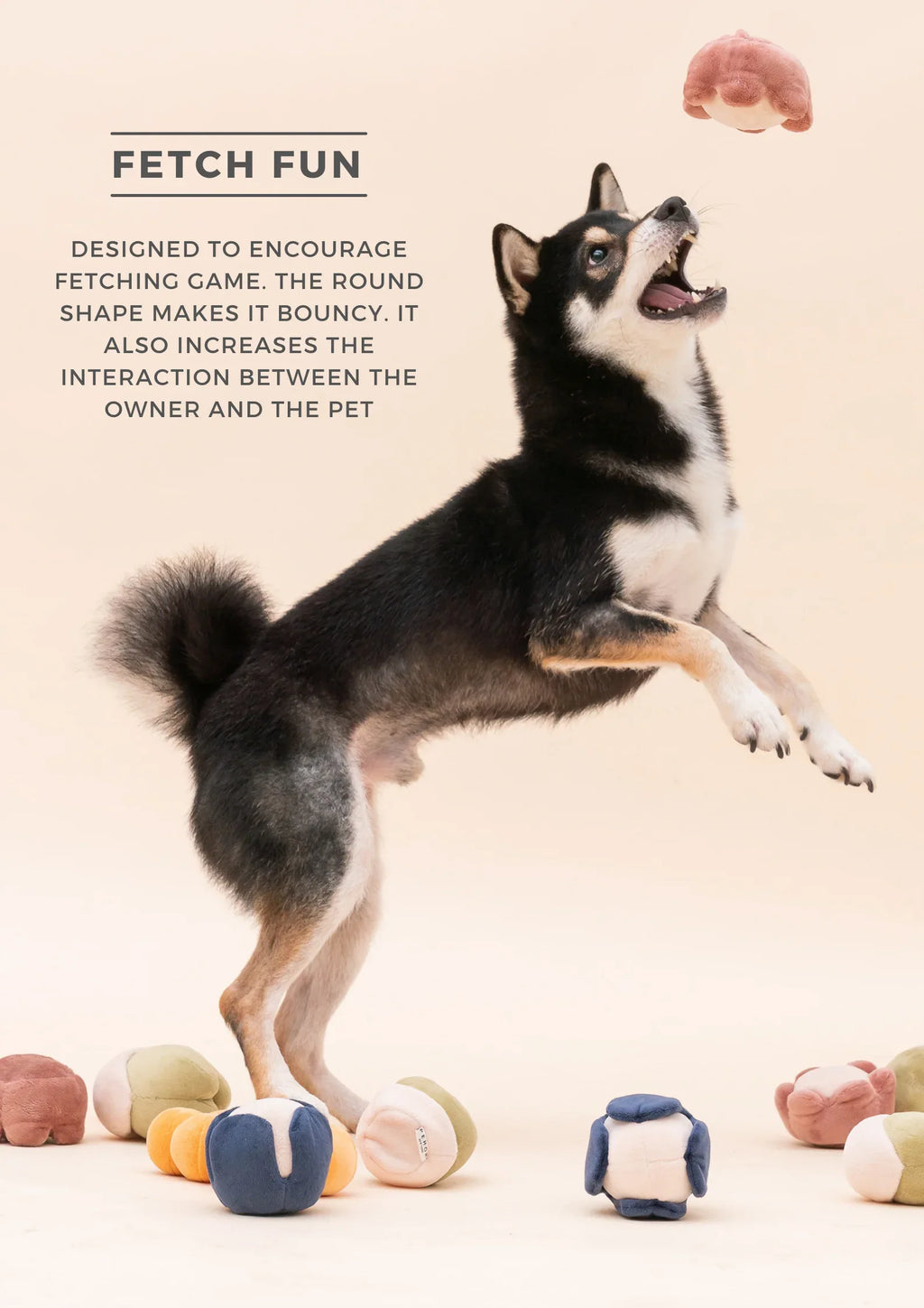 PARADISE PET TOY | Erysimum 8 - MiniPaw Luxe