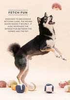 PARADISE PET TOY | Erysimum 8 - MiniPaw Luxe