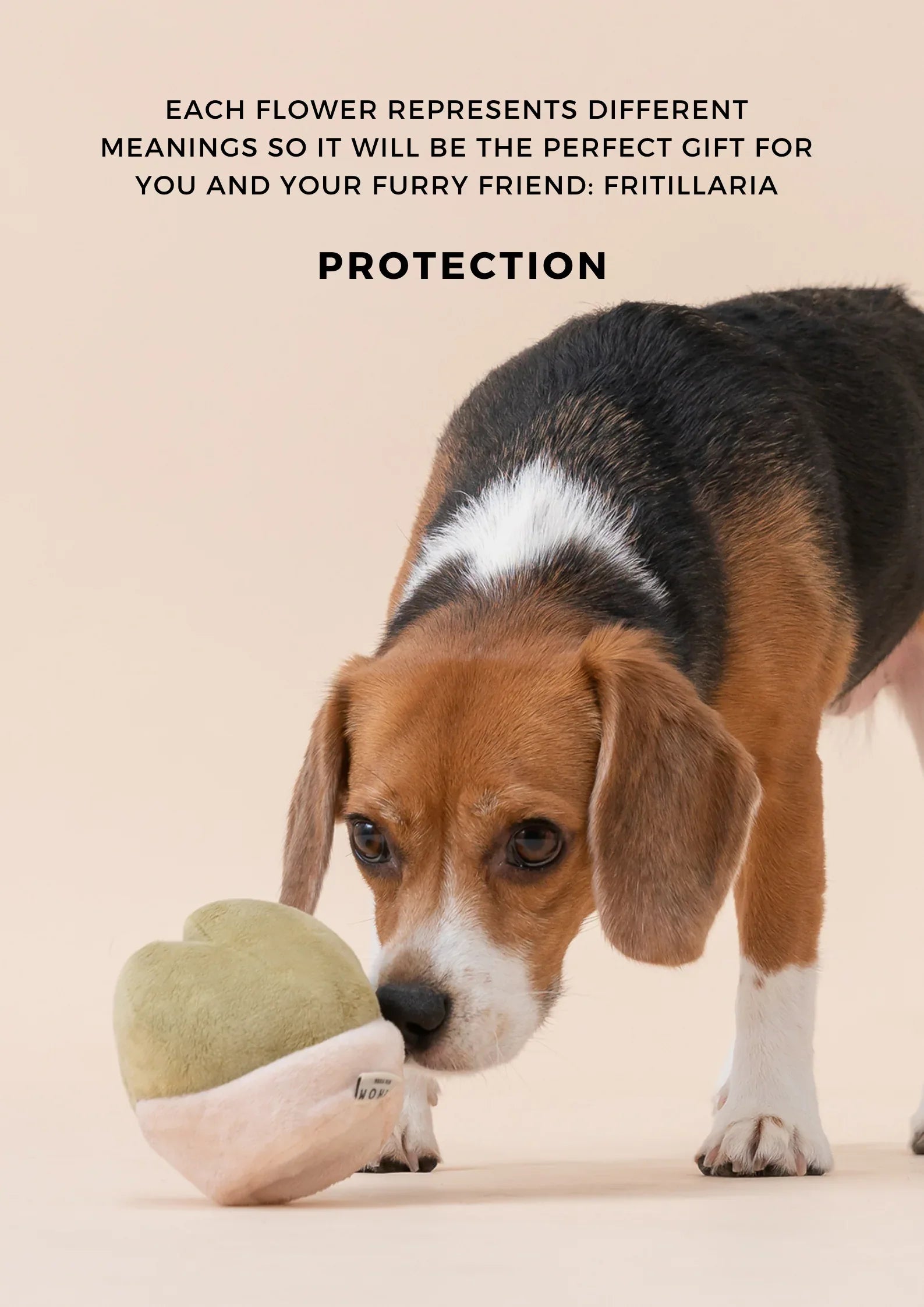 PARADISE PET TOY | Fritillaria 6 - MiniPaw Luxe