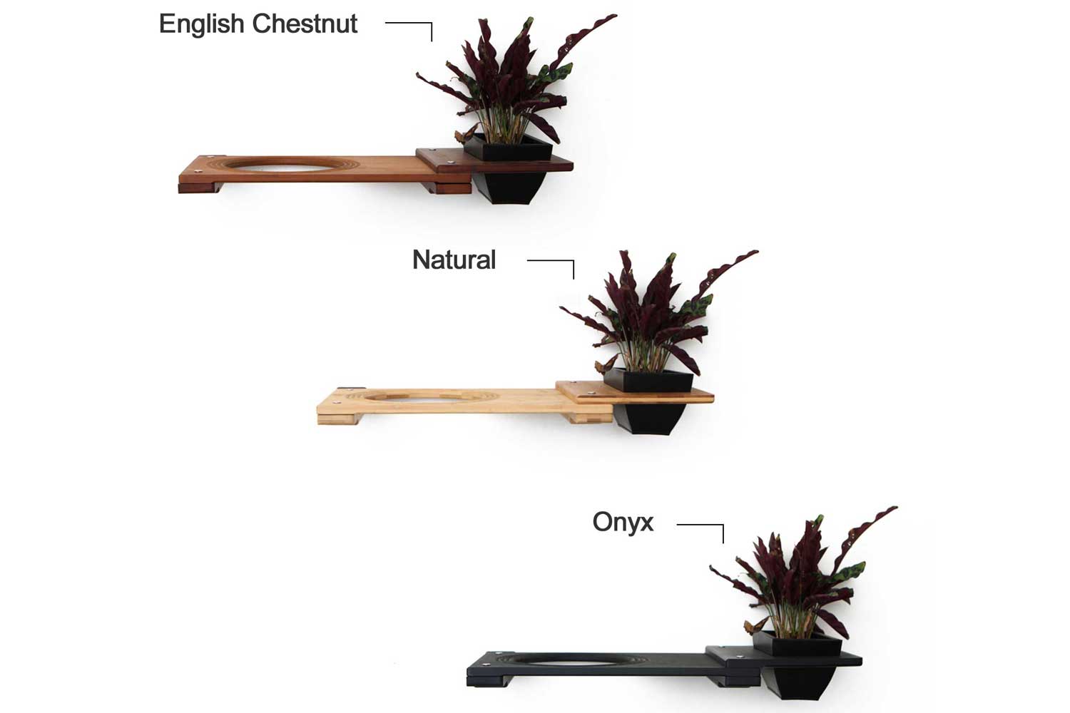 Cat Plant Stand for Wall
