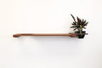 Cat Plant Stand for Wall