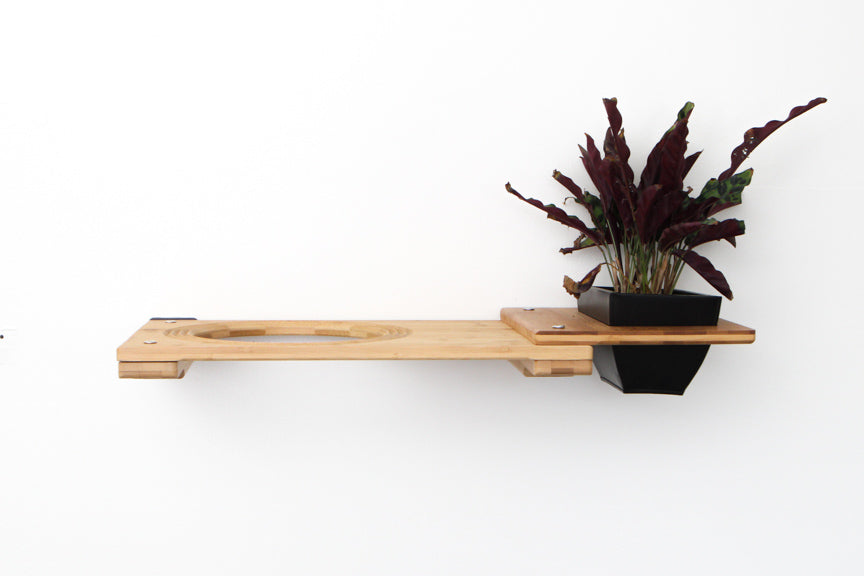 Cat Plant Stand for Wall