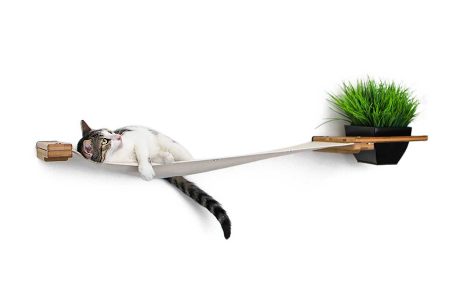 Cat Hammock Wall with Planter