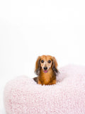 POD DOG BED 11 - MiniPaw Luxe