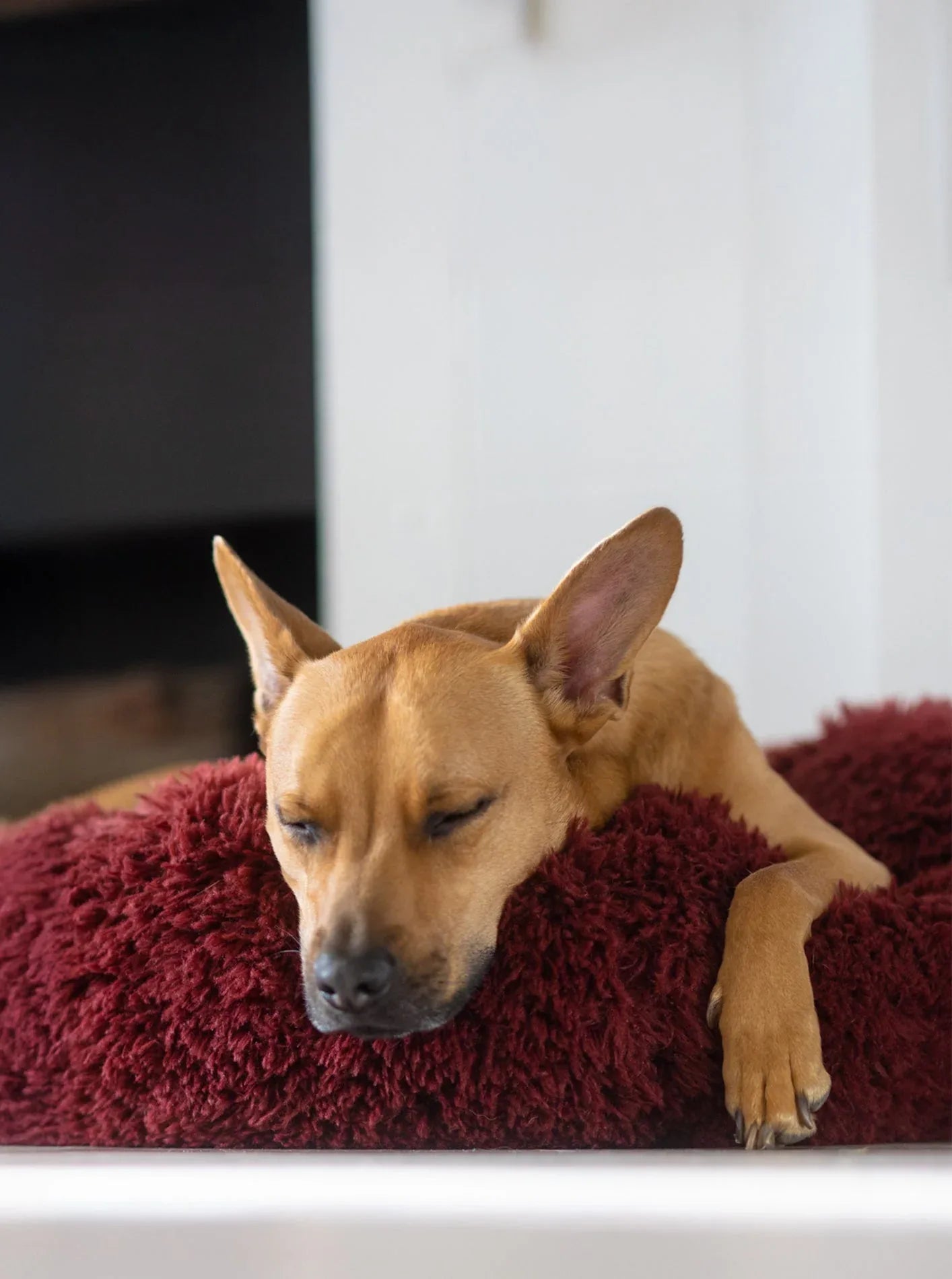 POD DOG BED 16 - MiniPaw Luxe