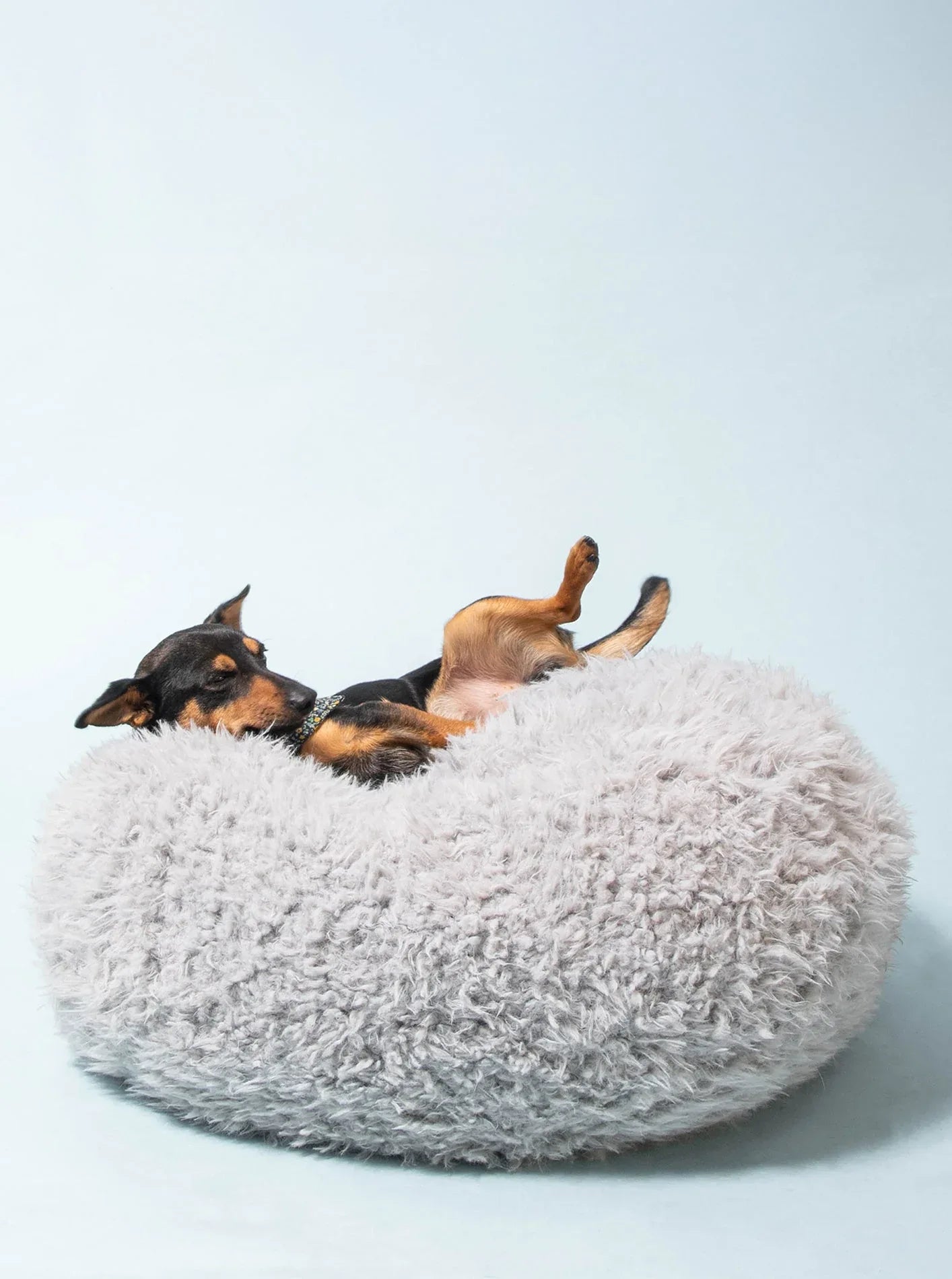 POD DOG BED 1 - MiniPaw Luxe