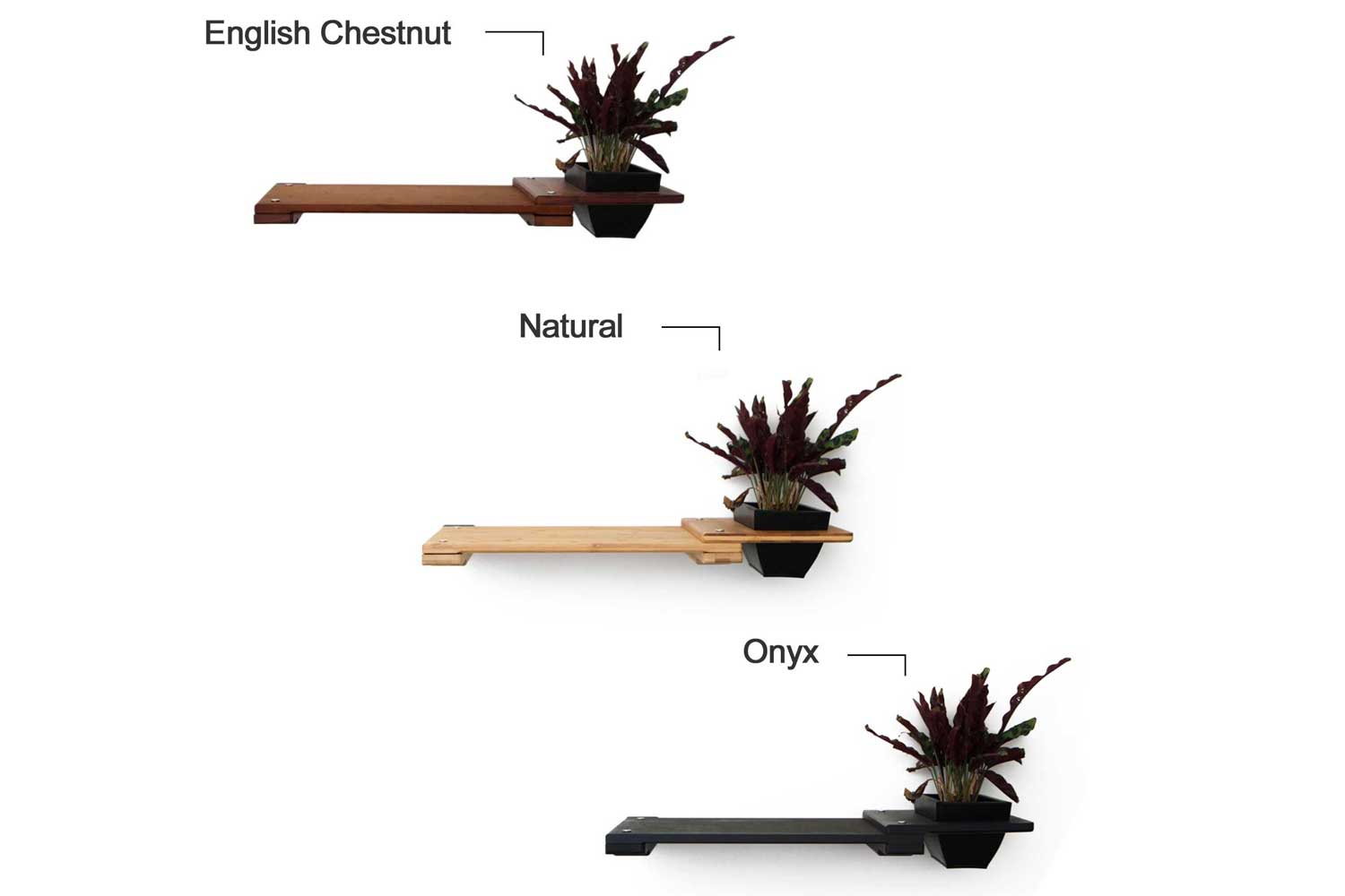 Cat Plant Stand for Wall