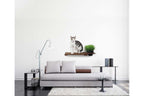 Cat Plant Stand for Wall