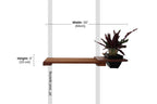 Cat Plant Stand for Wall