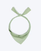 Party Bandana 1 - MiniPaw Luxe