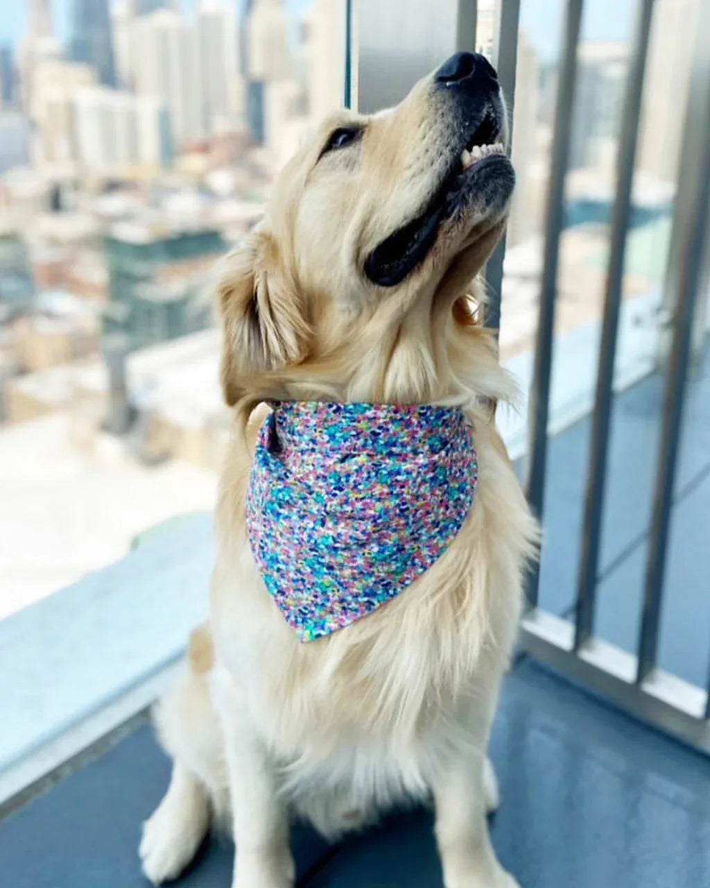 Party Bandana 6 - MiniPaw Luxe