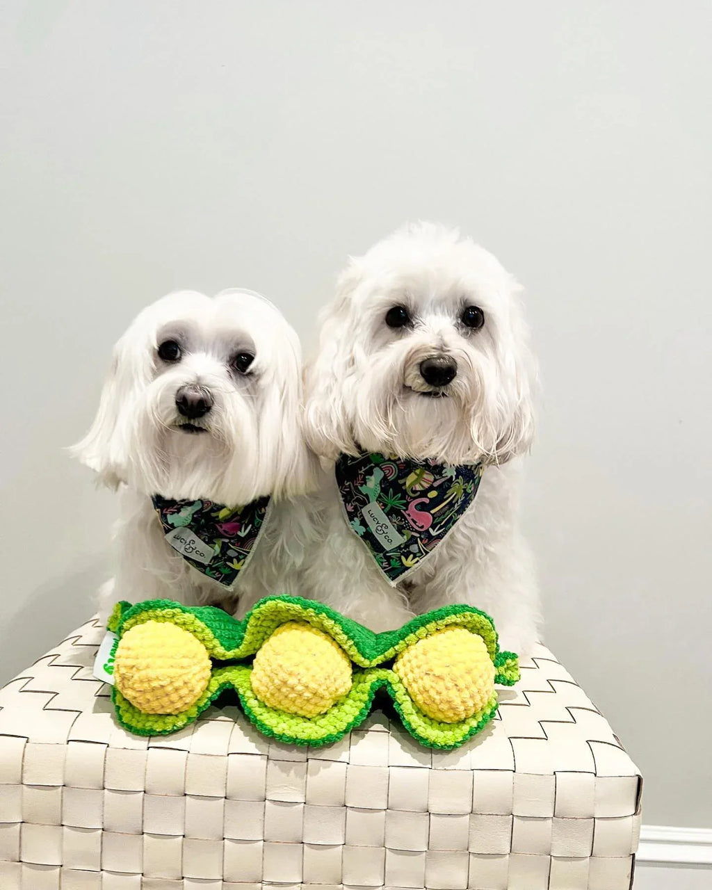 Pea Pod 10 - MiniPaw Luxe