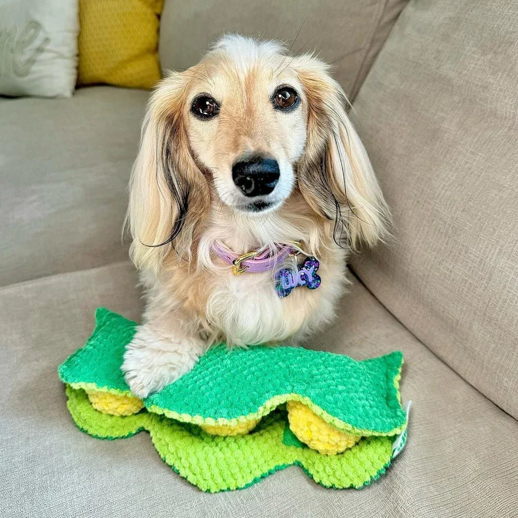 Pea Pod 11 - MiniPaw Luxe