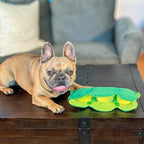 Pea Pod 9 - MiniPaw Luxe
