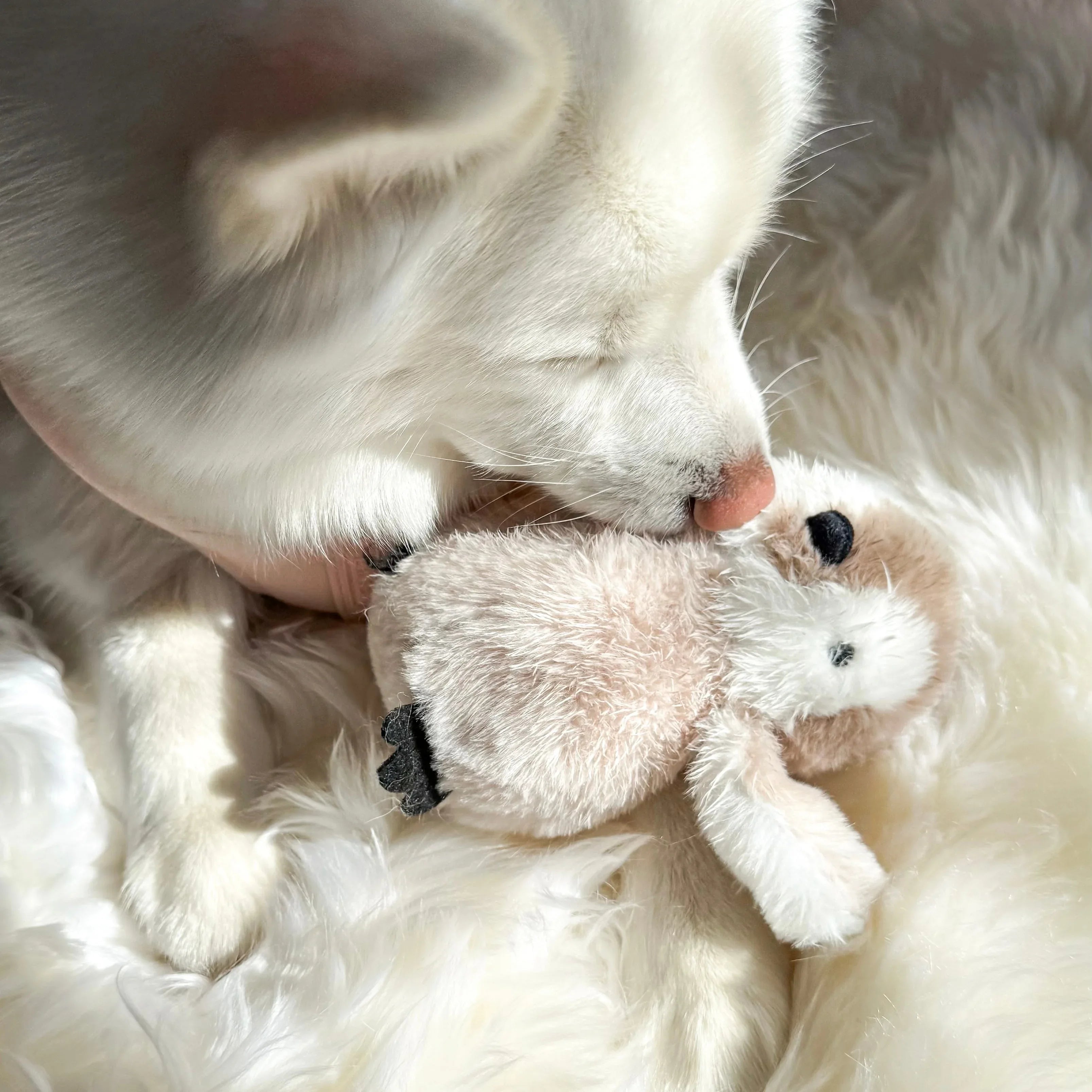 Pegy Plush Toy | Mini 4 - MiniPaw Luxe