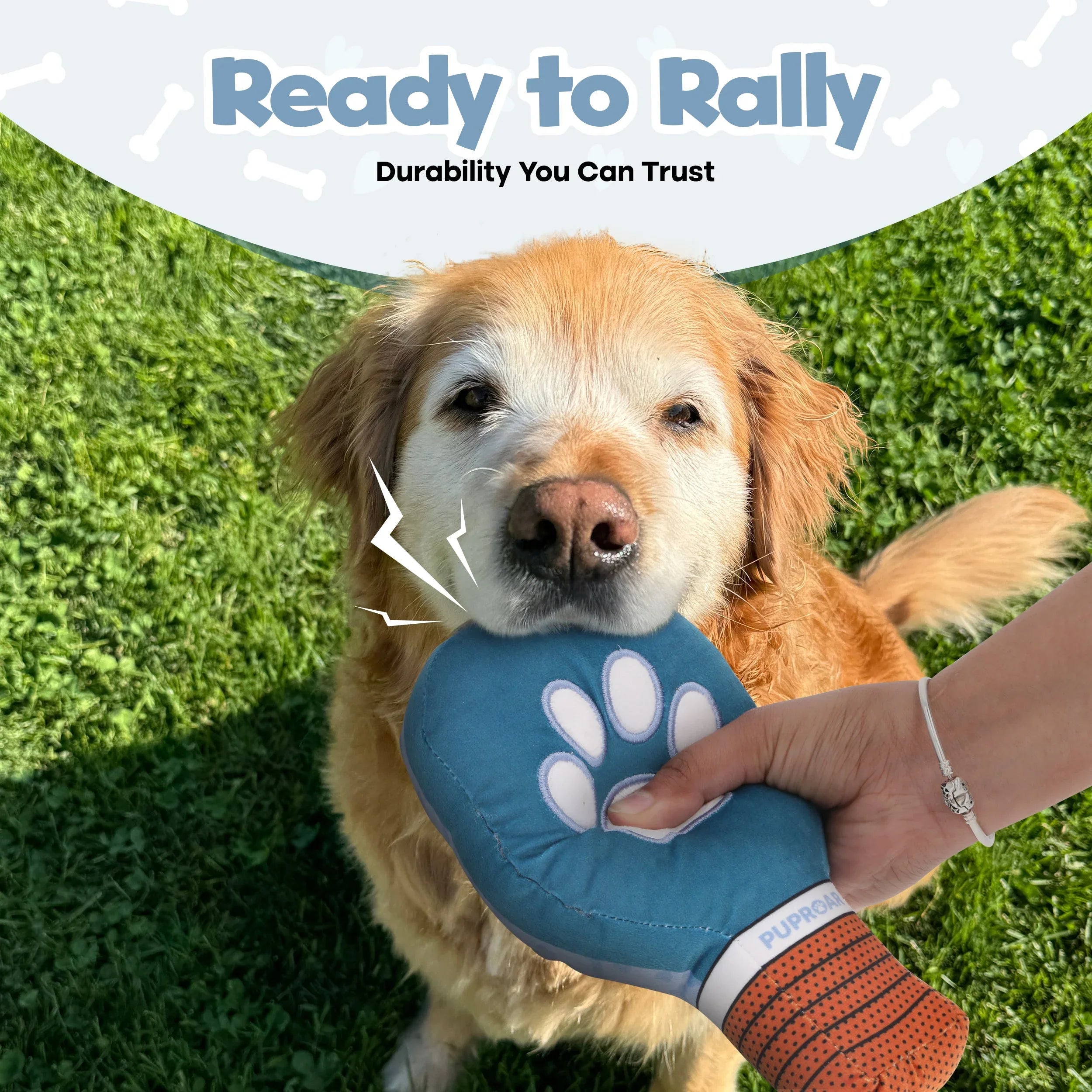 Pickleball Paddle Squeaky Crinkle Dog Toy 6 - MiniPaw Luxe