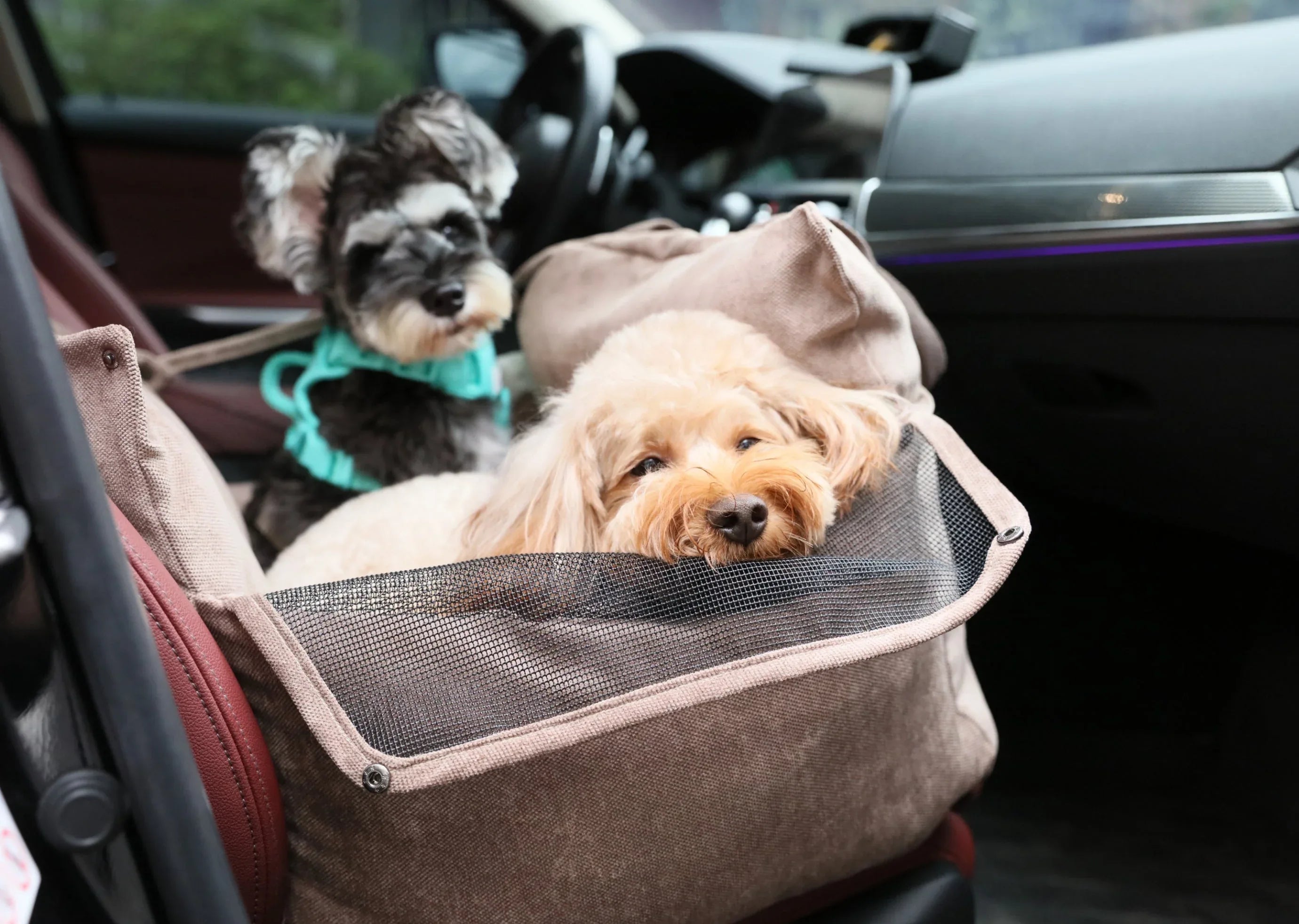 Puff Guard Dog Car Seat | Pink 5 - MiniPaw Luxe