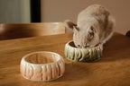 Puff Pet Bowl | Gradient Caramel 6 - MiniPaw Luxe