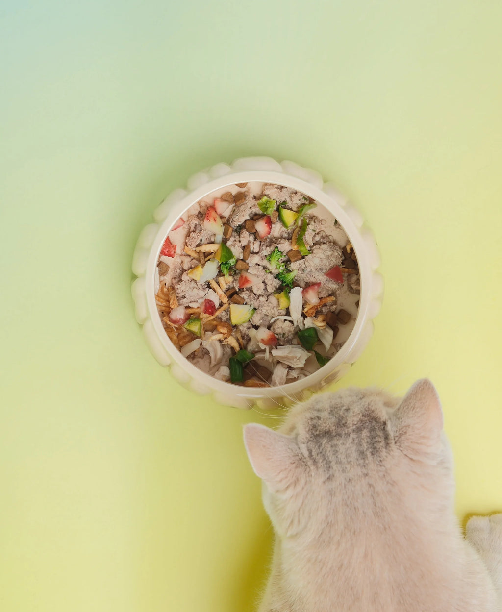 Puff Pet Bowl | Gradient Olive 2 - MiniPaw Luxe