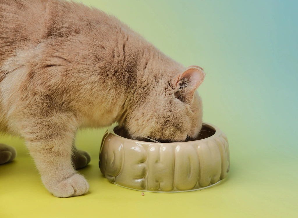 Puff Pet Bowl | Gradient Olive 3 - MiniPaw Luxe