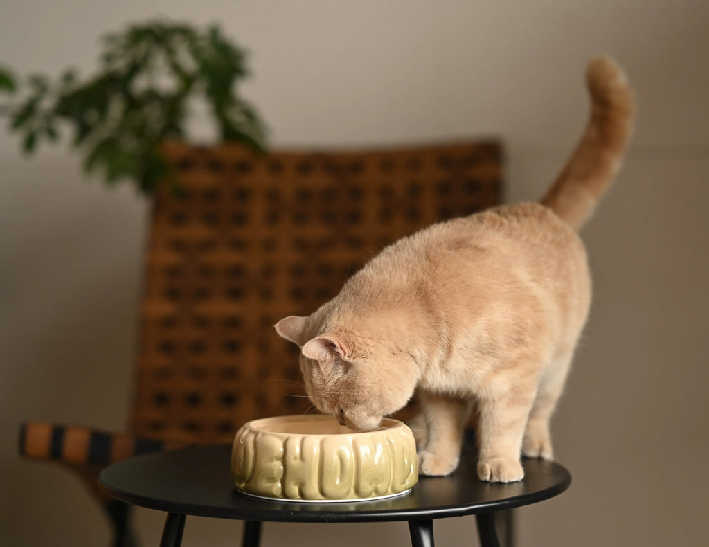 Puff Pet Bowl | Gradient Olive 4 - MiniPaw Luxe