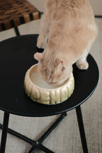 Puff Pet Bowl | Gradient Olive 7 - MiniPaw Luxe