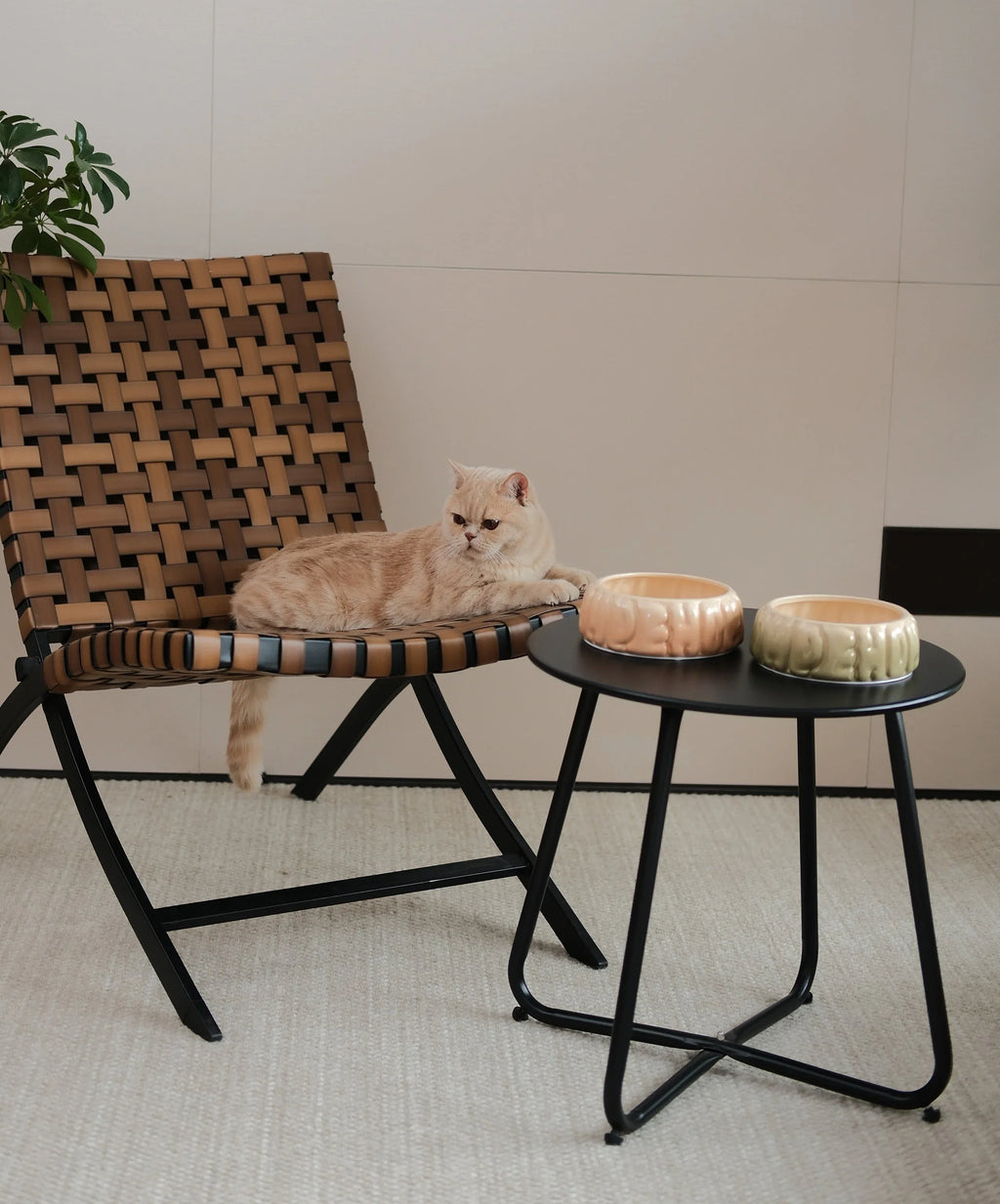 Puff Pet Bowl | Gradient Olive 8 - MiniPaw Luxe