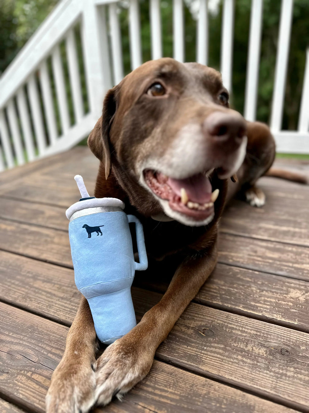 Pup Cup Tumbler Plush Squeaky Toy 7 - MiniPaw Luxe