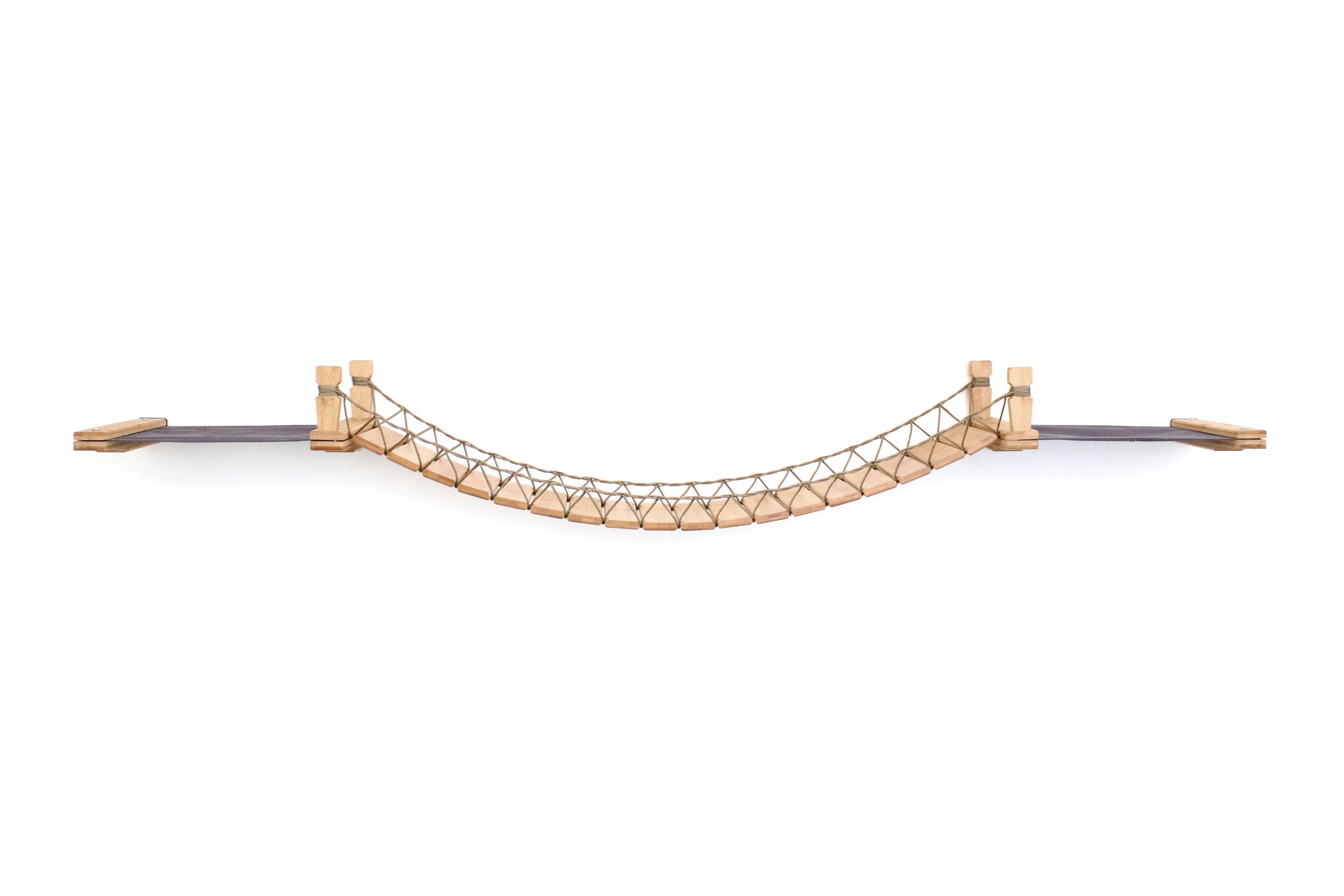 Double Cat Hammock and Climbing Bridge Combo
