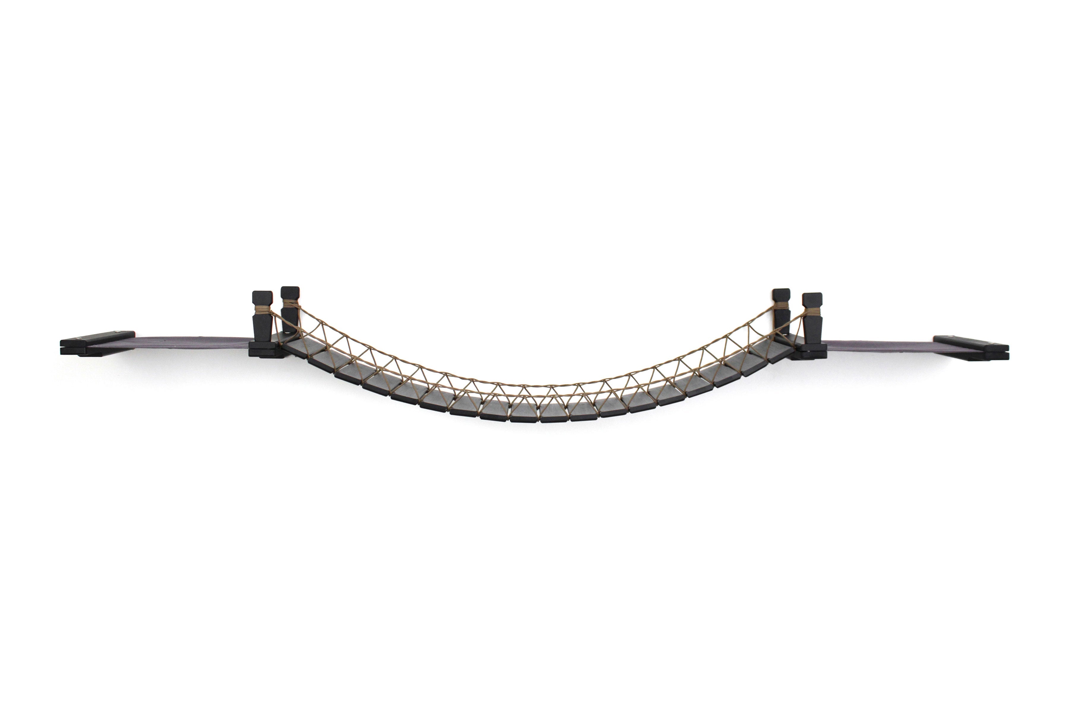 Double Cat Hammock and Climbing Bridge Combo