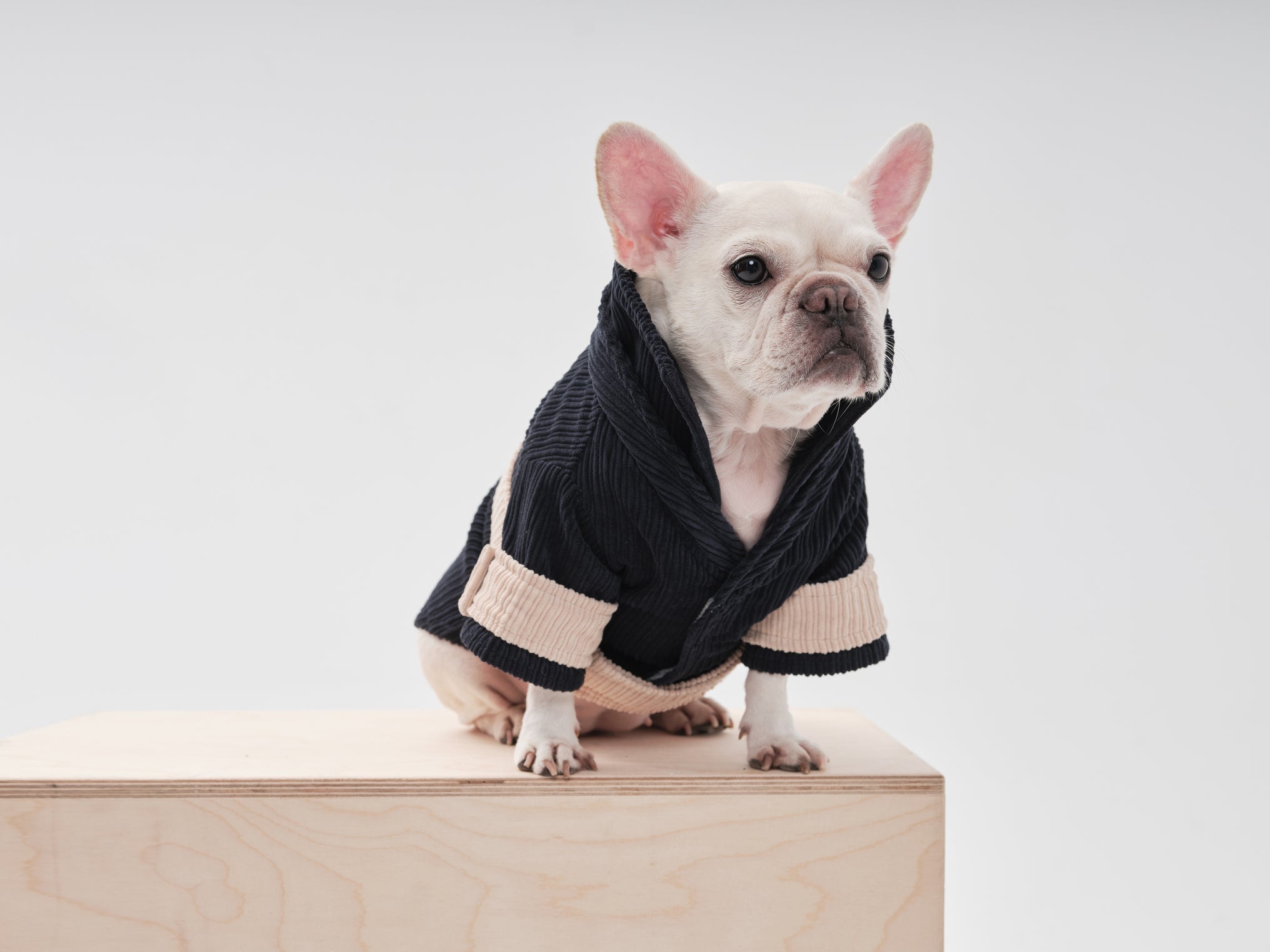 ROPE SHIRT - BLUE BEIGE 4 - MiniPaw Luxe