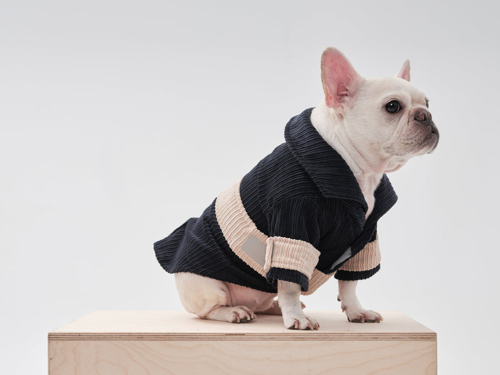 ROPE SHIRT - BLUE BEIGE 5 - MiniPaw Luxe