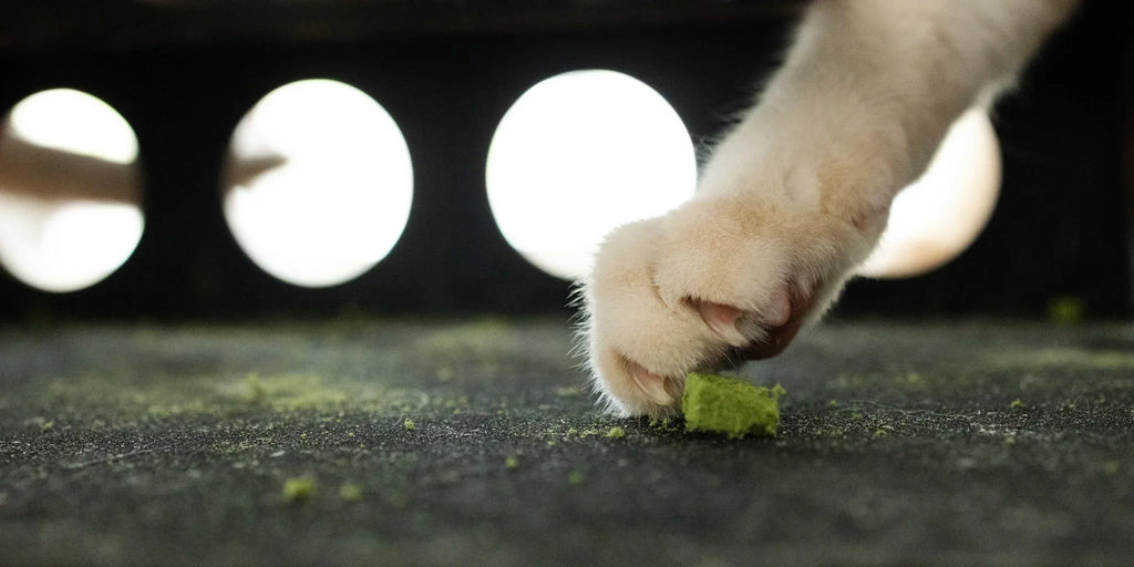 Replacement Nail File Paper 2 - MiniPaw Luxe