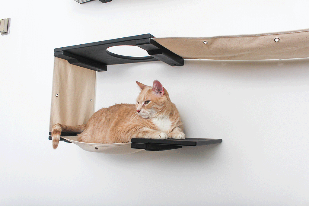 The Roman - A Wall Mounted Cat Scratcher Tree