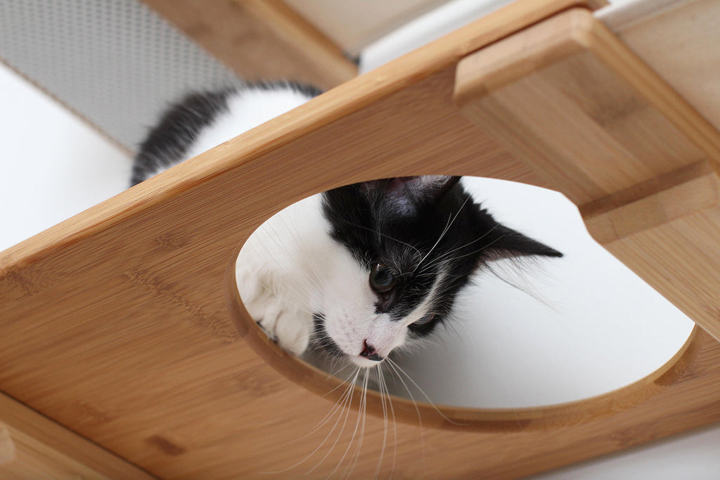 The Roman - A Wall Mounted Cat Scratcher Tree