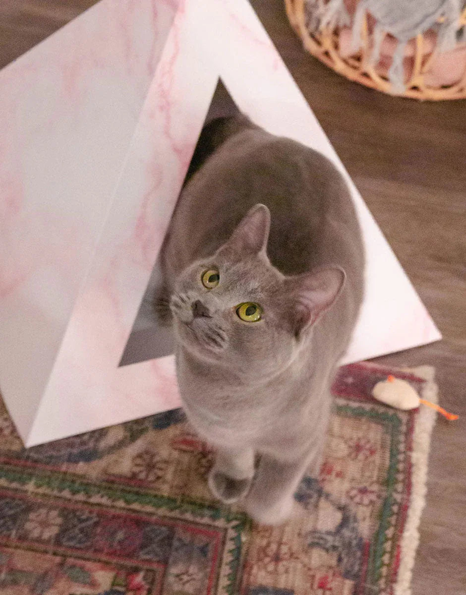 'Rose Quartz' Cat Pyramid 5 - MiniPaw Luxe