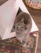 'Rose Quartz' Cat Pyramid 5 - MiniPaw Luxe
