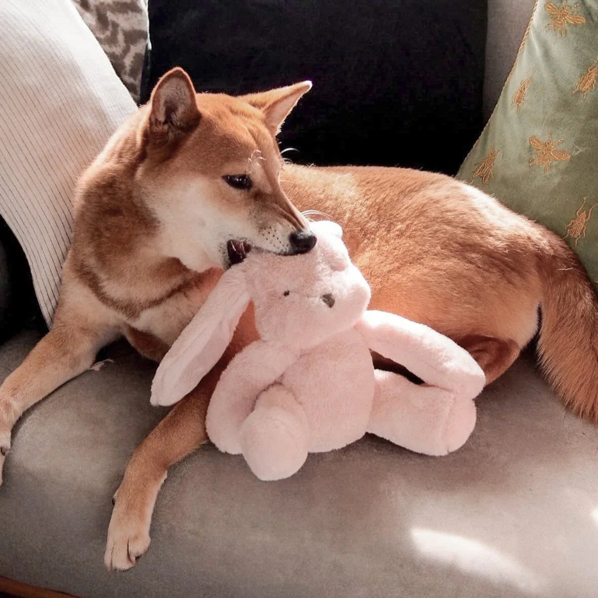 Ruby Plush Toy | Maxi 5 - MiniPaw Luxe