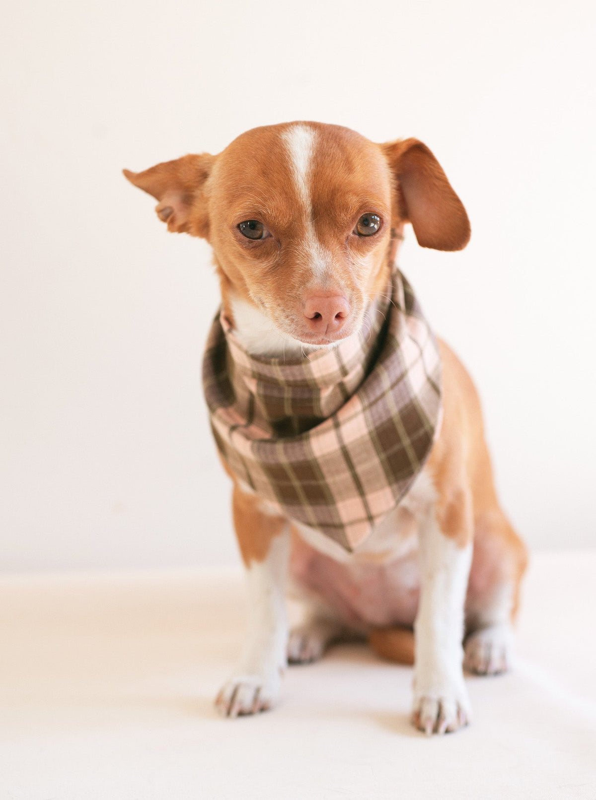 PLAID & WINTER BANDANAS