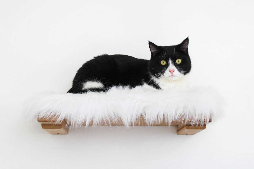 The Cat Nest Bed