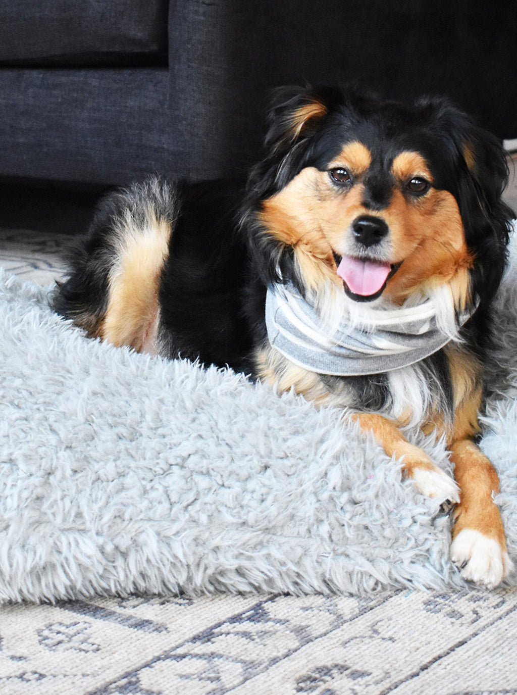 MB SNOOD